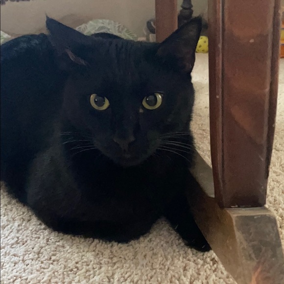 Meet your Posher, Valerie - Picture 1 of 1